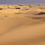Relax With Parking